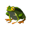 Hot-Footed Frog