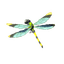 Electric Darner