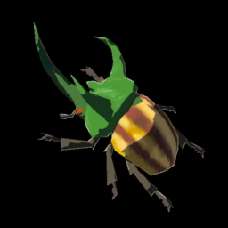 Rugged Rhino Beetle