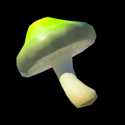 Stamella Shroom